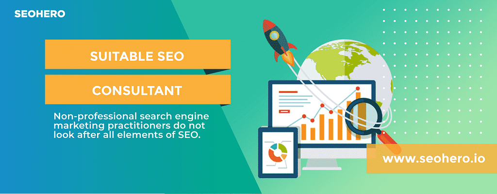 what is a suitable seo consultant